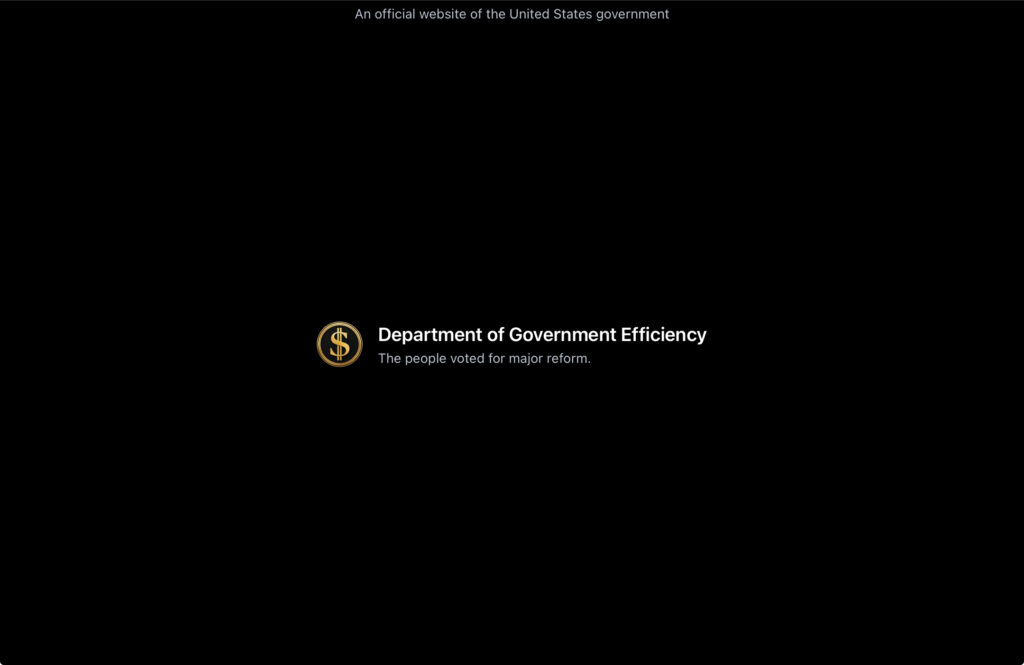 Department of Government Efficiency